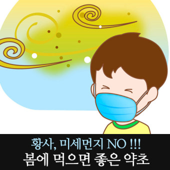 황사,미세먼지로 부터 우리몸을 보호하는 약초