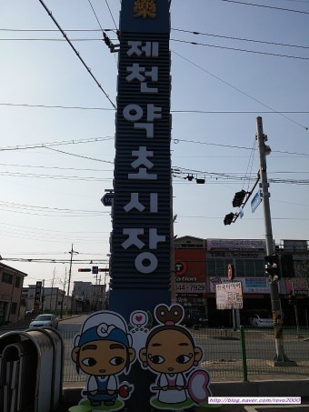 [충북/제천]제천가볼만한곳/약초시장/제천역맛집송원감자탕