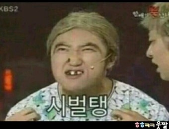웃긴 짤방 모음 17탄 / 웃긴짤, 카톡짤, 웃긴사진
