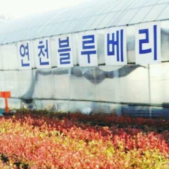눈물이 핑 도는 ‘날 것의 전라도