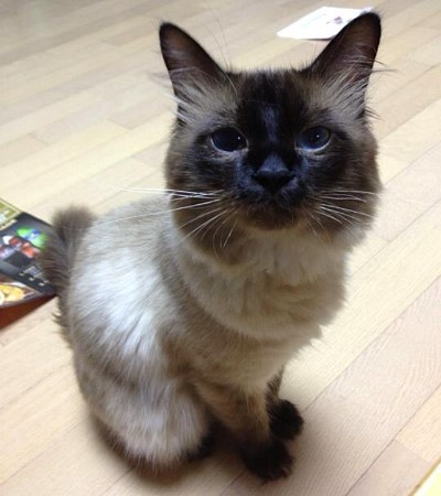 트라이, 주가람과 럭비부의 합작으로 인한 성공적인 김단 영입 뒤엔 최고 시청률 기록 달성!