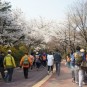 도심 속의 명산 트레킹, 서울 남산을 걷다