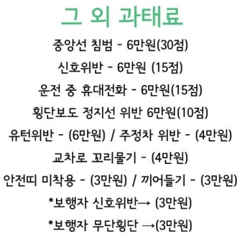 자동차 교통법규위반 도로교통법 위반 범칙금 / 벌점 