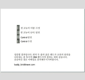 성별검사