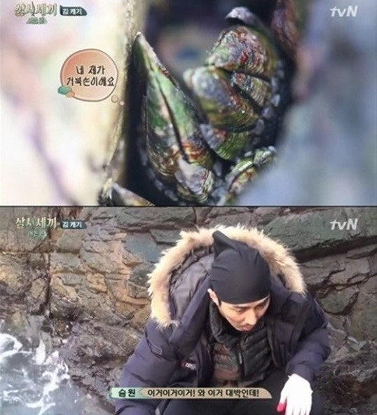 고니네일 이미지