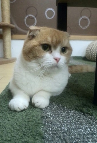 4월의 인기 투표 결과 발표 