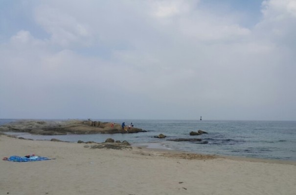 [속초 여행]속초게찜_본점 및 삼포해수욕장 | 블로그