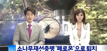 박세정 아나운서 CJ경남뉴스 생방송 앵커