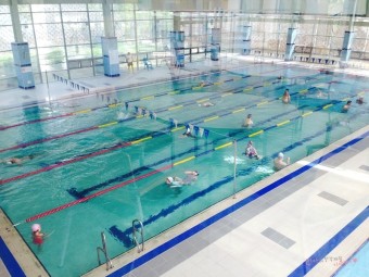 [분당 수영장] 판교스포츠센터 자유수영,프로그램