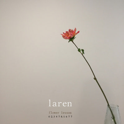 잠원동 라렌 _ 다알리아/다알리아 꽃말 | 블로그