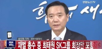광복절 특별사면 "최태원sk회장 사면....행정제재 220만명 혜택"