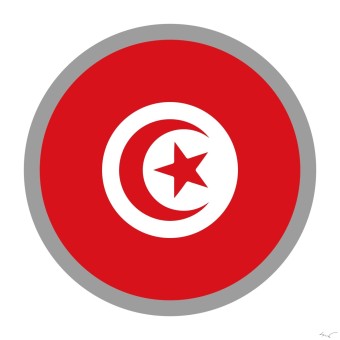 튀니지 국기 아이콘