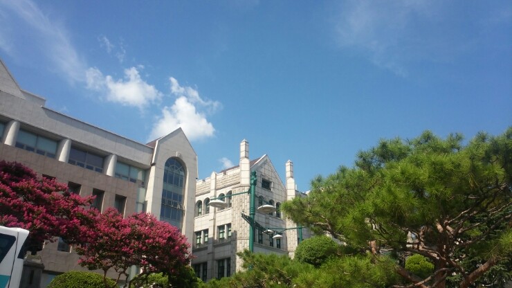 동덕여대, 남녀공학 전환 논의 반발에 본관 점거 10일째, 합의로 잠정 중단 결정