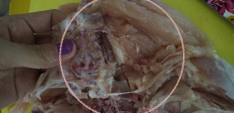 닭요리 :: 백종원표 치킨스테이크, 닭뼈발굴까지! 흉내는 제대로???