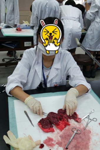 충북 bio medi 캠프 2일차