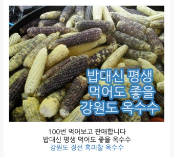 강원도 옥수수 산지직송 : 믿을 수 있는 맛!