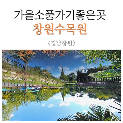 【창원가볼만한곳】가을소풍 가기 좋은 창원 수목원, 삼동공원 | 블로그