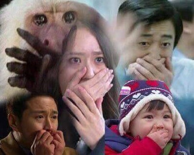 타르트곰 이미지