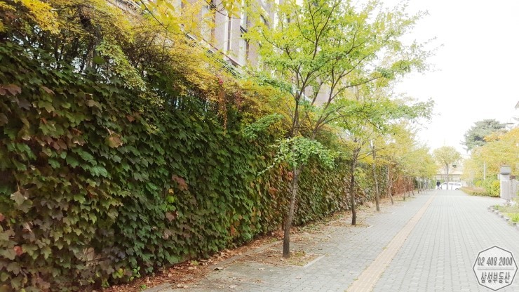 인천 초등학교, 폭염 속 교실 에어컨 중단 파문...학부모 강력 반발에 결정 철회