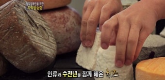 다큐 # 글로벌성공시대 치즈명장 김소영 (안단테 데어리)
