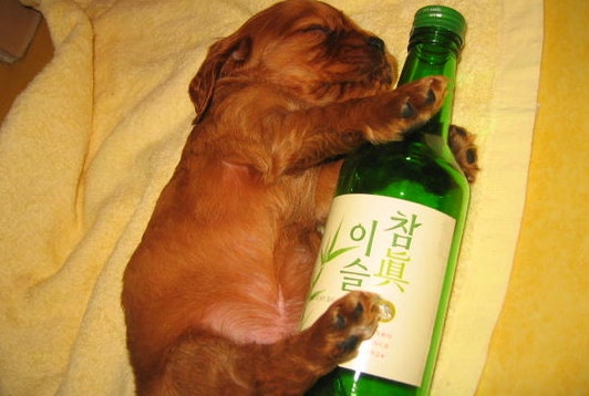 愉快的韩式酒桌礼仪