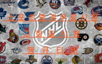 12월 22일 NHL 미네소타 댈러스 중계 함께 시청해요!!