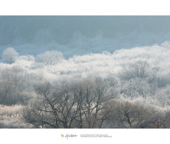 깊은 산속 숨겨진 인제 비밀의 정원을 찾아서