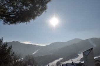 감각(感覺)보기와 마음보기