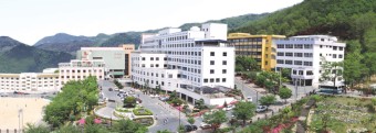 2015 대전보건대학교 정시등급