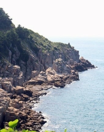 잘못된 프레임으로 세상을 보는 이상한 도구, 진화론