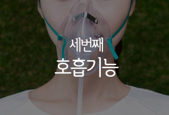 비만도(BMI)를 잡기 위한 체지방률 관리에 필요한 근육의 중요성