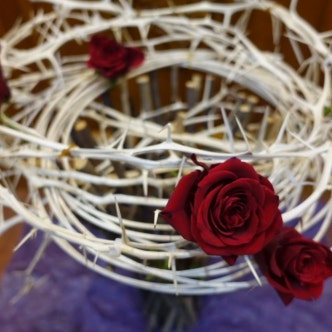 ����� ���� �ɲ���