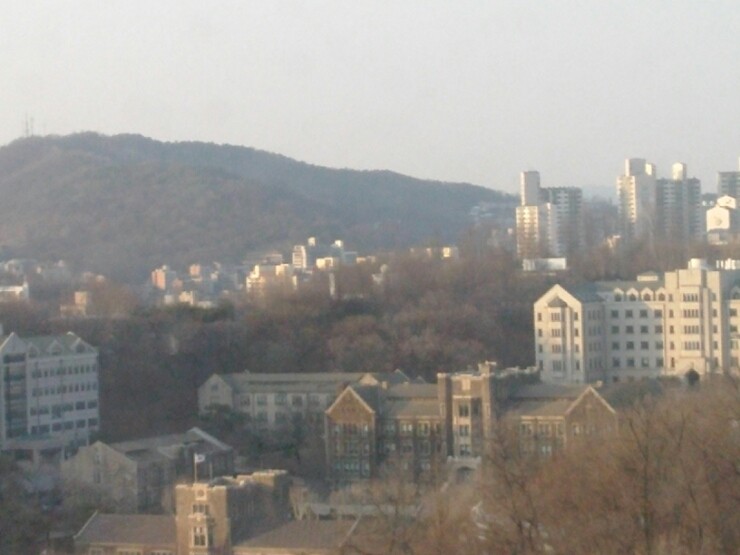 연세대, 한강 작가 명예박사와 교수직 추진 중: 노벨문학상 수상에 환희와 전성행위 기대