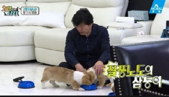 막둥이소 희귀병 진단 충격에