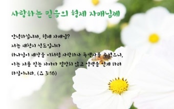 우리지금 만나! 당장만나! 신앙인의 소통방법~