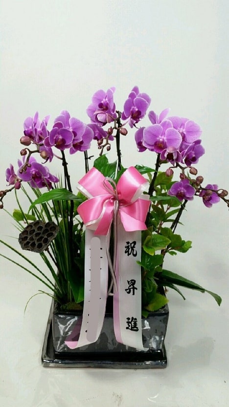 ?src=http%3A%2F%2Fblogfiles.naver.net%2F20160302_74%2Faml0901_1456916093957oKB9Y_JPEG%2F%25B8%25B6%25C6%25F7%25B1%25B8%25B2%25C9%25B9%25E8%25B4%25DE1.png&type=sc960_832