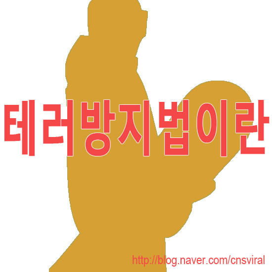 대법, 2심 무죄 판결 파기…IS 선동 혐의 A씨 사건 인천지법 송치