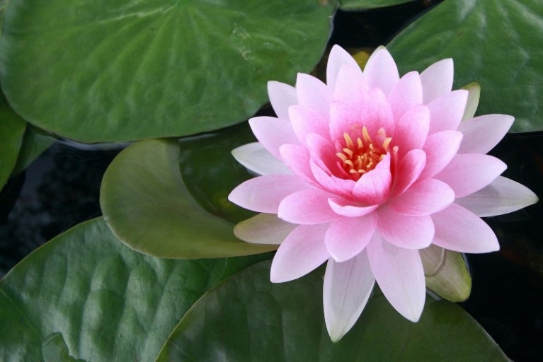 도경 이미지