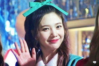 [조이] 레드벨벳 조이