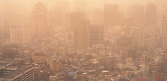 [황사/미세먼지]황사와 미세먼지에 좋은 음식