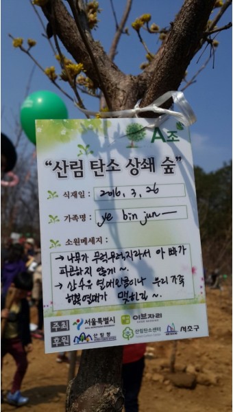 탄소상쇄숲 나무심기~