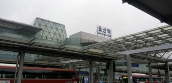 서울역/울산역/핫초코/ktx/김밤/벚꽃/민트우유블로그