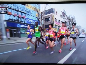 대구국제마라톤대회