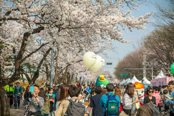 여의도는 지금 축제중, 여의도 봄꽃축제를 다녀왔습니다.