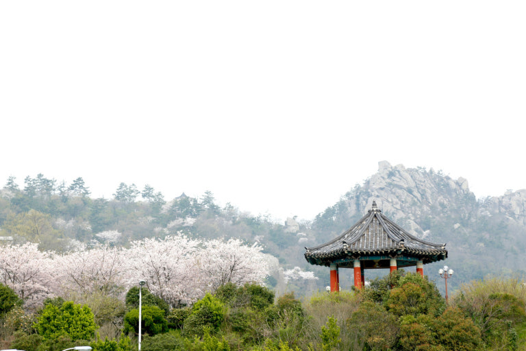 유달산 사진 8