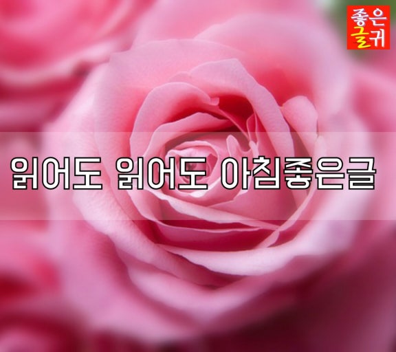 꽃향기 이미지