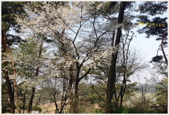 전라북도 여행지 추천 망해사 / 4月 봄 망해사 | 블로그