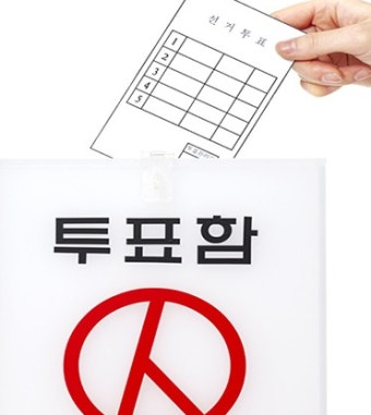 4.13 총선 투표 방법 : )