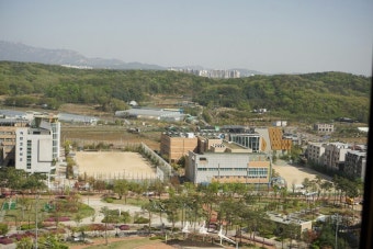 +미세먼지 주의보 발령 해제 · 드디어 공원산책 나가요+