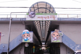 5월 봄 여행주간으로 추천하는 제천약초시장과 제천한방엑스포공원